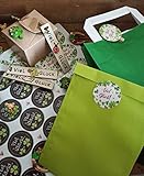 50 St. flache kleine Geschenktütchen, hellgrün - 2