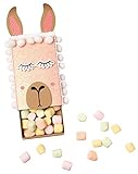 Streichholzschachteln, blanko, 12-er Pack - 6