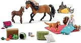 Schleich Adventskalender HORSE CLUB - 2
